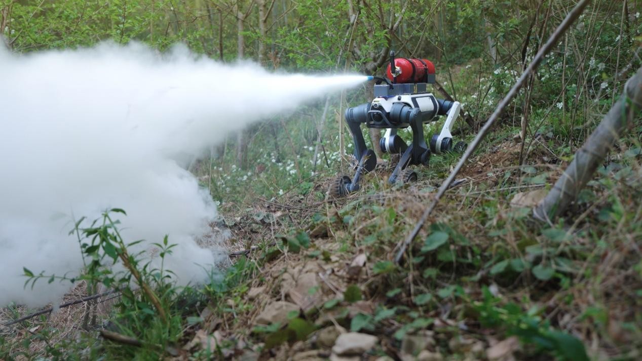 1751877200154580.jpg 图片3.jpg